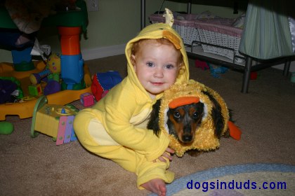 Baby Duck Costumes Matvhing Dog Costume for Dog and Baby